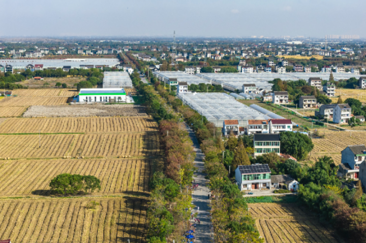 202511180944501141314831