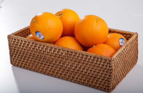 202602021115192544 202602021115192544