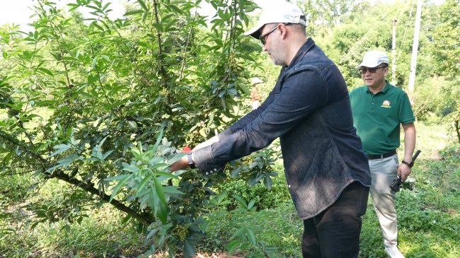 document_image_rId4_sm document_image_rId4_sm